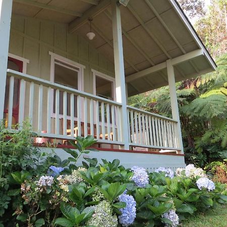 Carson'S Kaloko Mountain Cabin Kailua-Kona Esterno foto