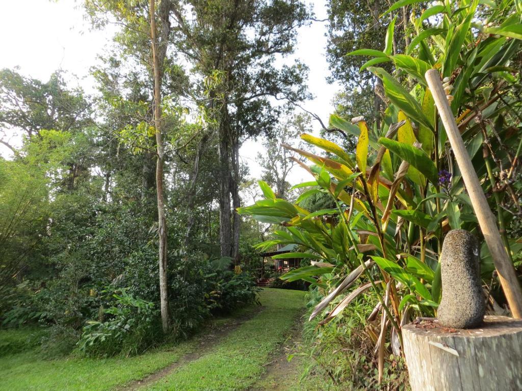 Carson'S Kaloko Mountain Cabin Kailua-Kona Esterno foto