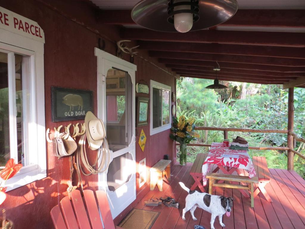 Carson'S Kaloko Mountain Cabin Kailua-Kona Camera foto